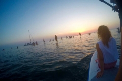 alba-in-sup-2017-02