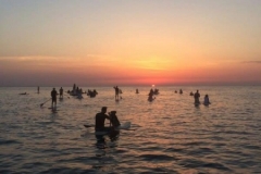 alba-in-sup-2017-04
