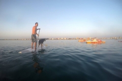 alba-in-sup-2017-06
