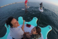 alba-in-sup-2017-11