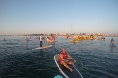 alba-in-sup-2017-14