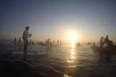 alba-in-sup-2017-17