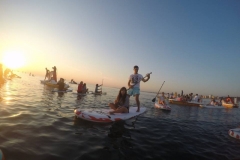 alba-in-sup-2017-20