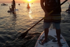 alba-in-sup-2017-23