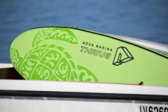 sup-news-test-aqua-marina-thrive-01