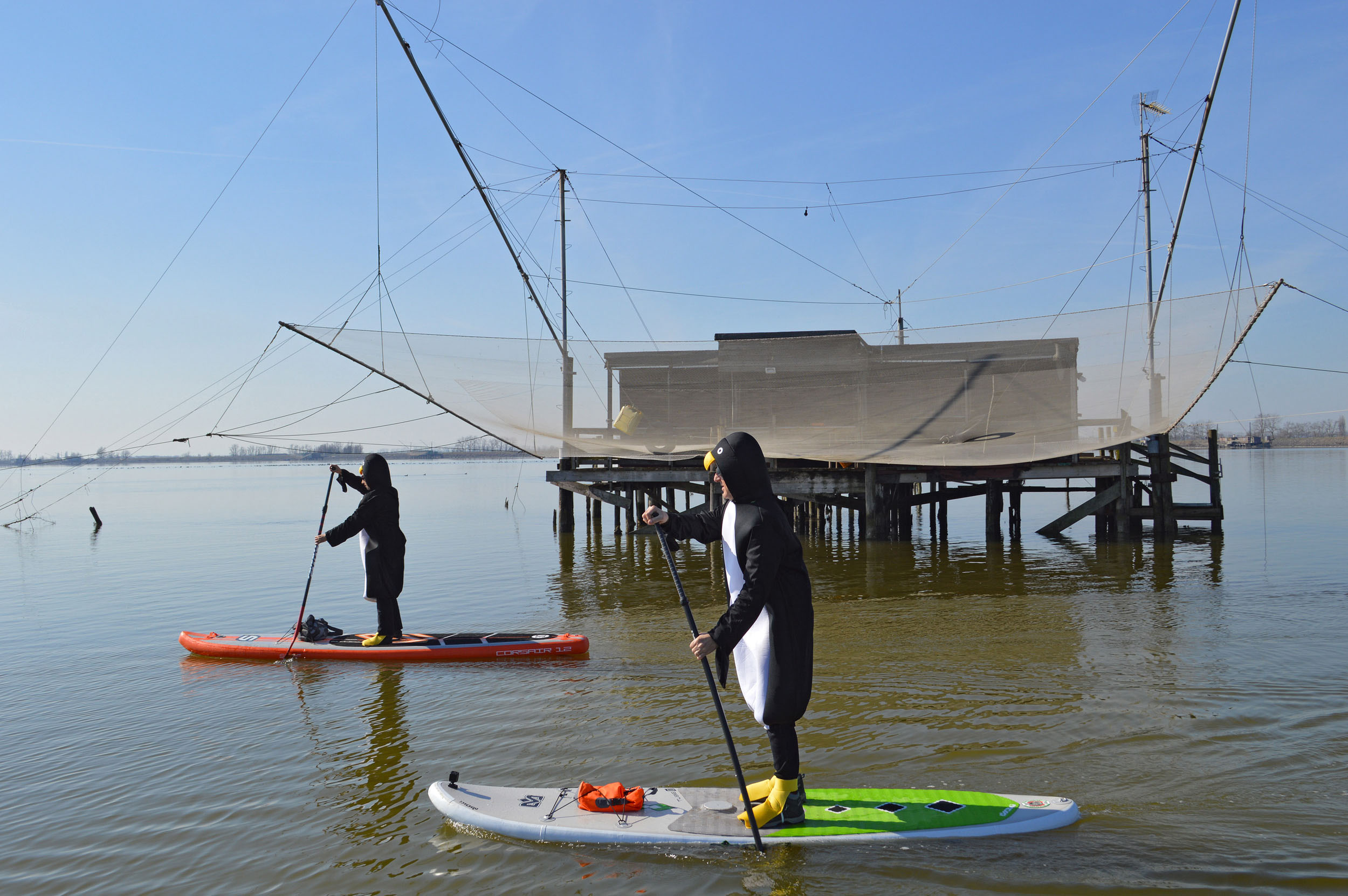 Sup-news-italia-2017-horizon36_comacchio_pinguini-04