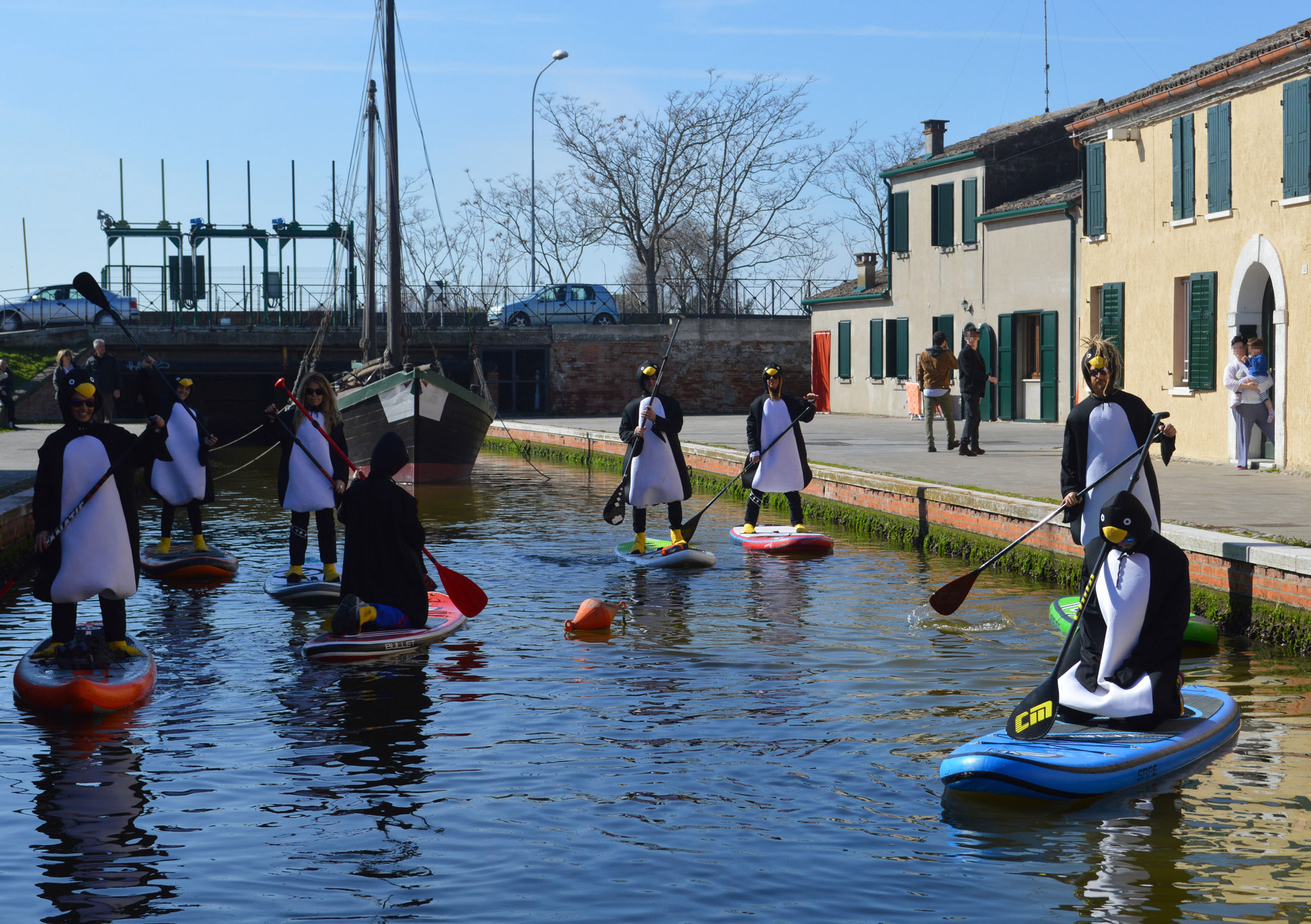 Sup-news-italia-2017-horizon36_comacchio_pinguini-05