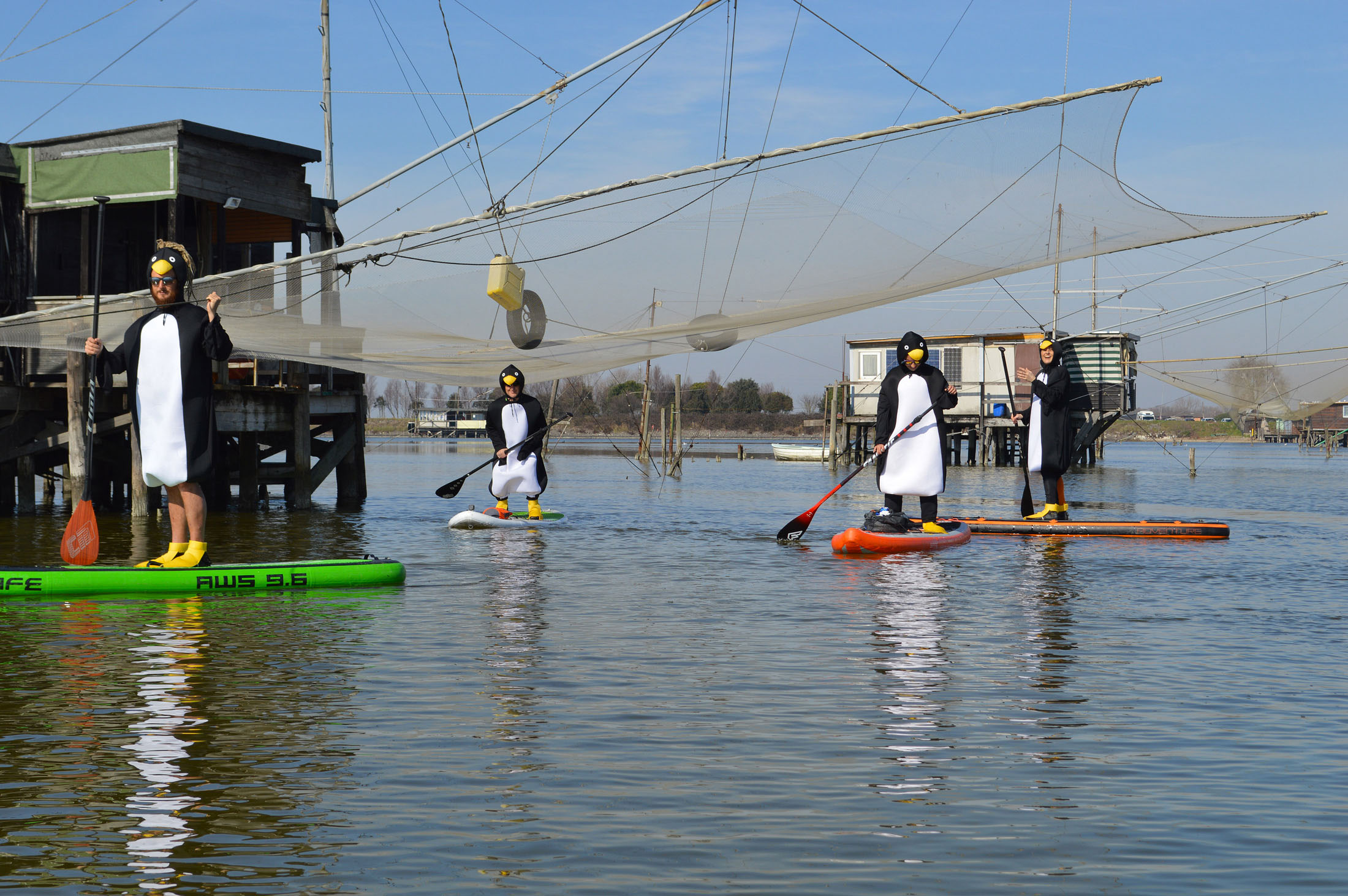 Sup-news-italia-2017-horizon36_comacchio_pinguini-14