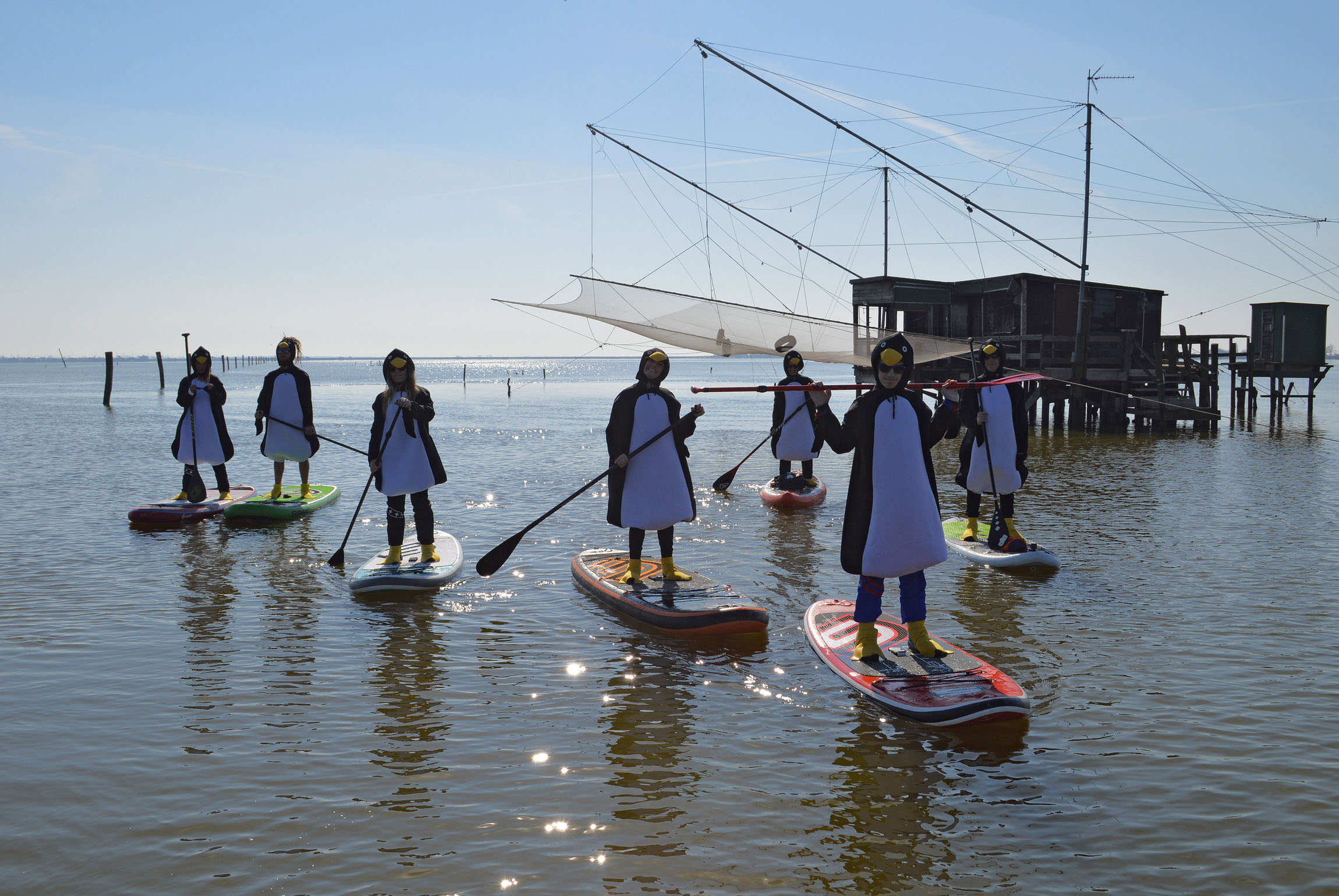 Sup-news-italia-2017-horizon36_comacchio_pinguini-15