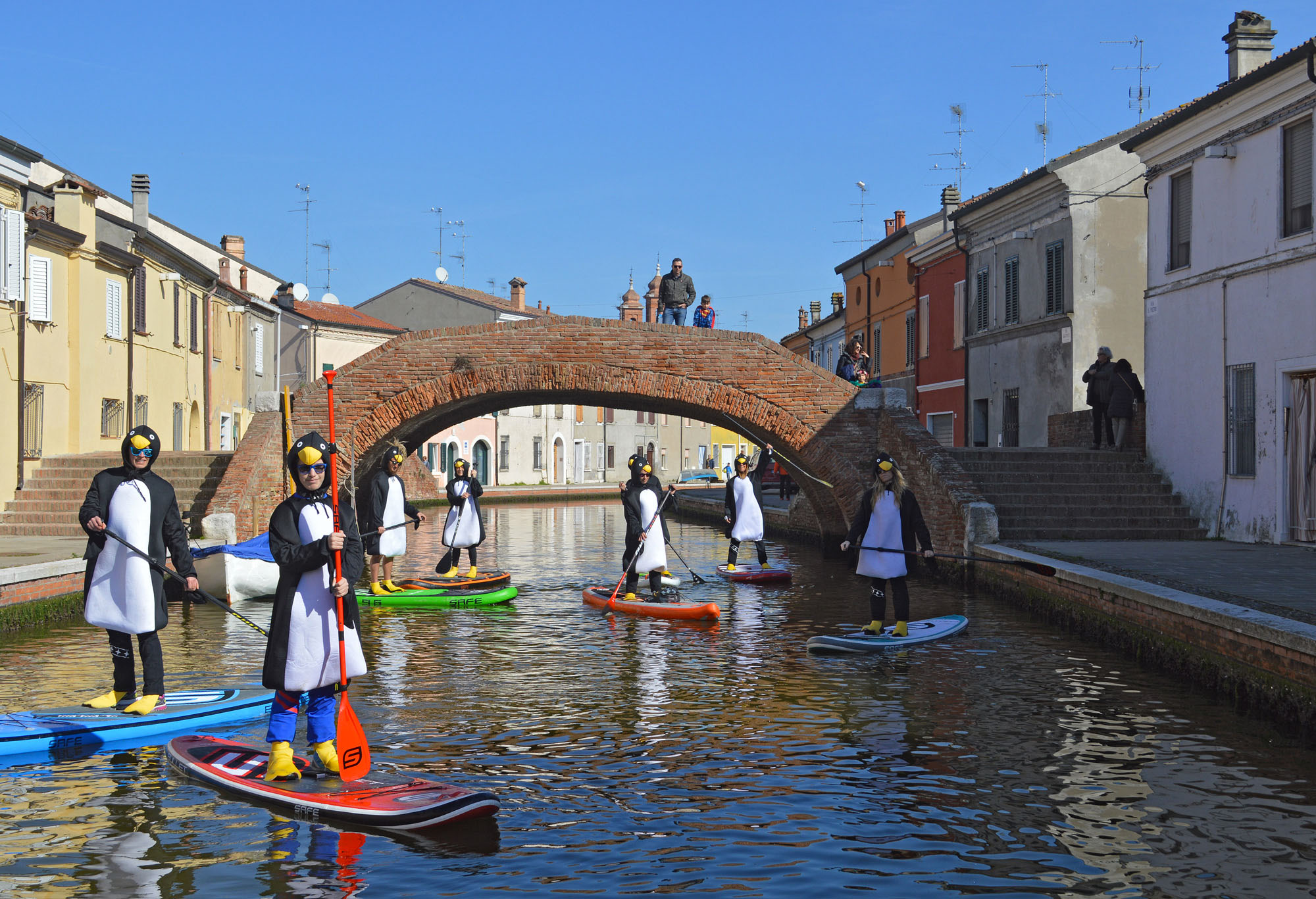 Sup-news-italia-2017-horizon36_comacchio_pinguini-16