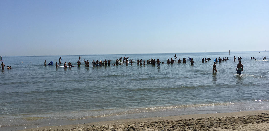 Il numeroso pubblico attento a bordo campo...