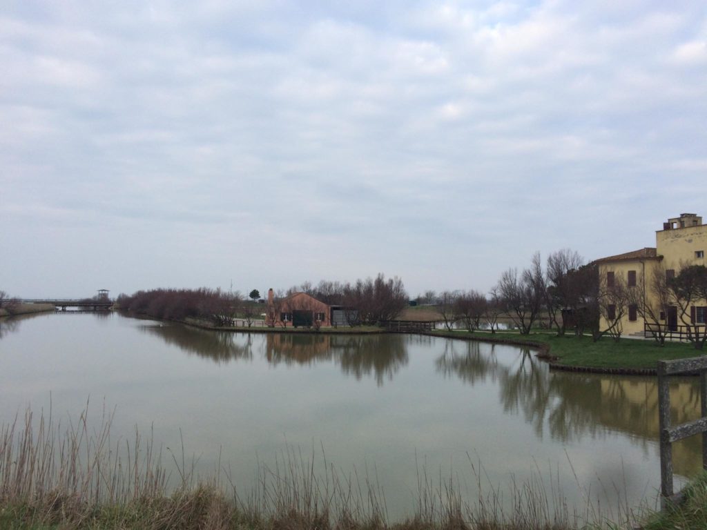 passeggiata-in-sup-comacchio-2018-12