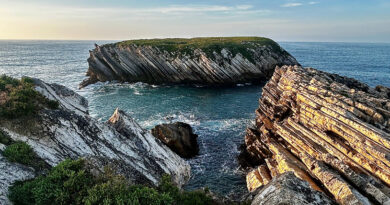 SUP Surfing a Peniche 2026 SUP Surfing a Peniche 2026